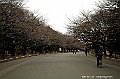 ueno park 70